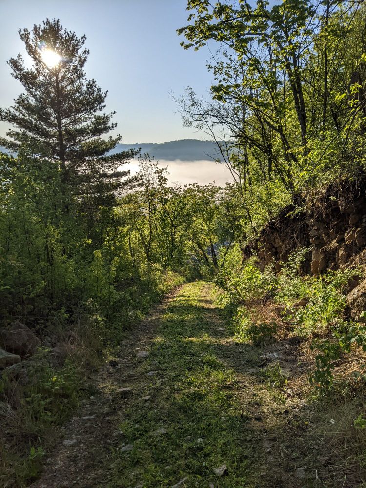 Photo of trail in hills with fog