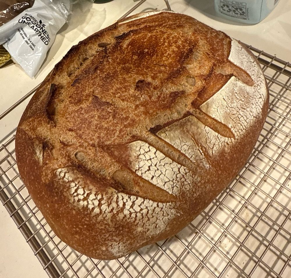 A loaf of sourdough bread