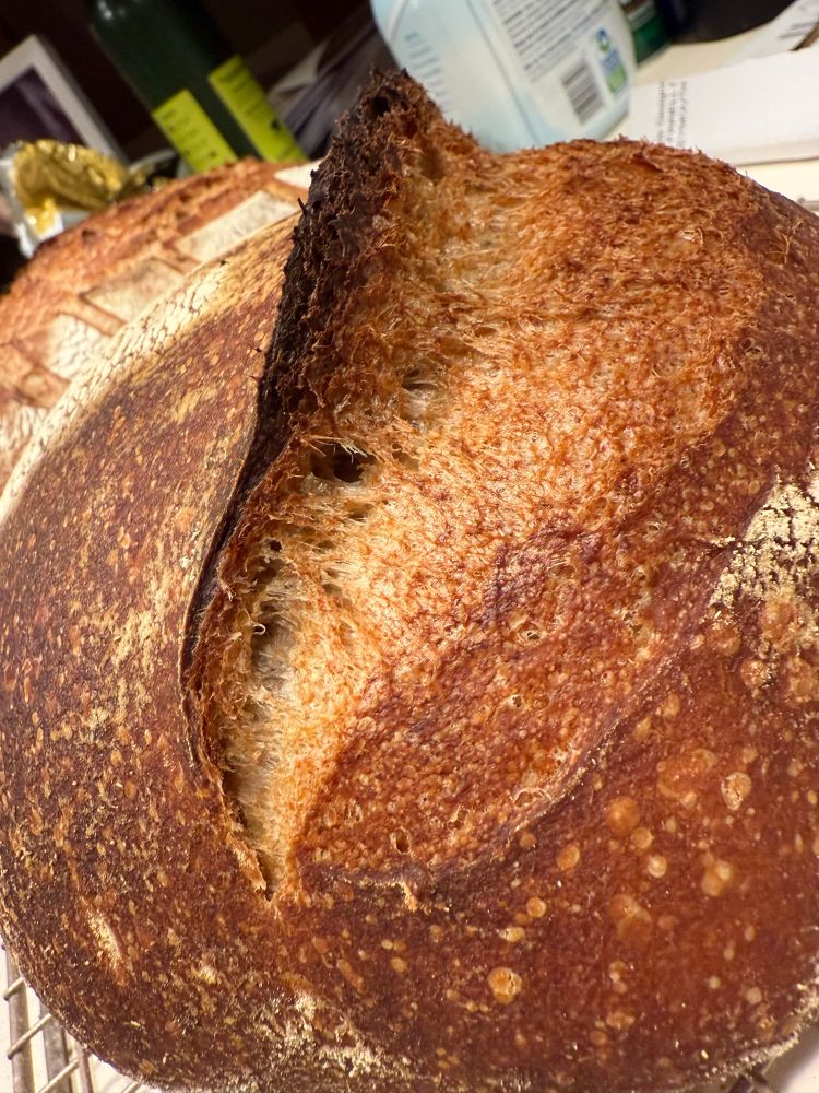 Closeup of a loaf of bread