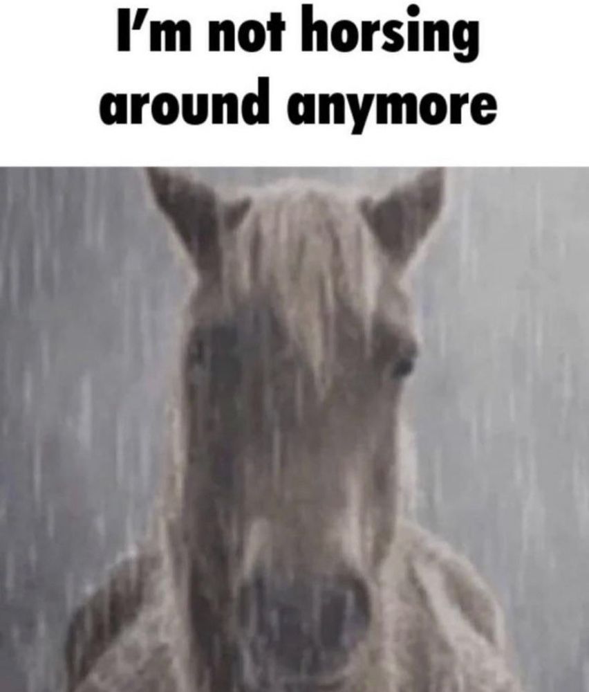 I'm not horsing around anymore