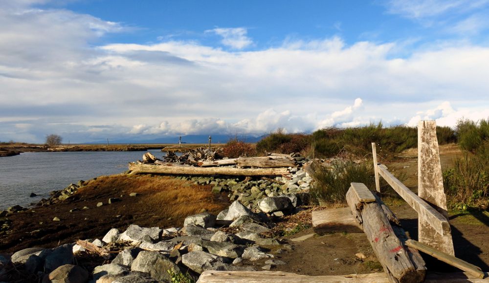 Driftwood logs fashioned into a seaside bench, rocks, with a view of mountains in the distance. Blue sky, with white clouds, on a fine sunny February afternoon. Steveston, BC.