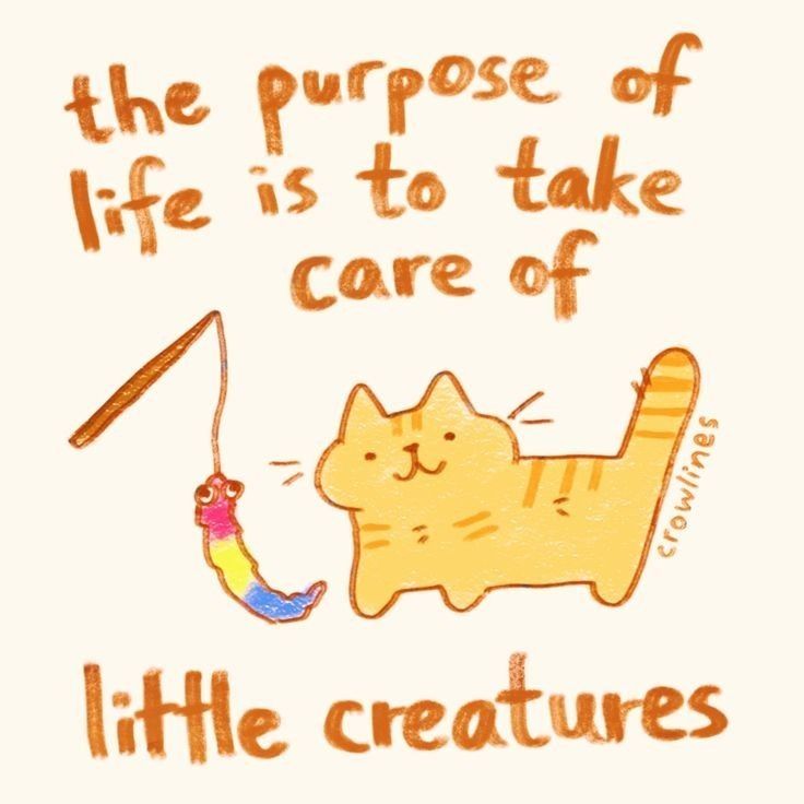 A little cartoon cat with a feather toy, it says "the purpose of life is to take care of little creatures"