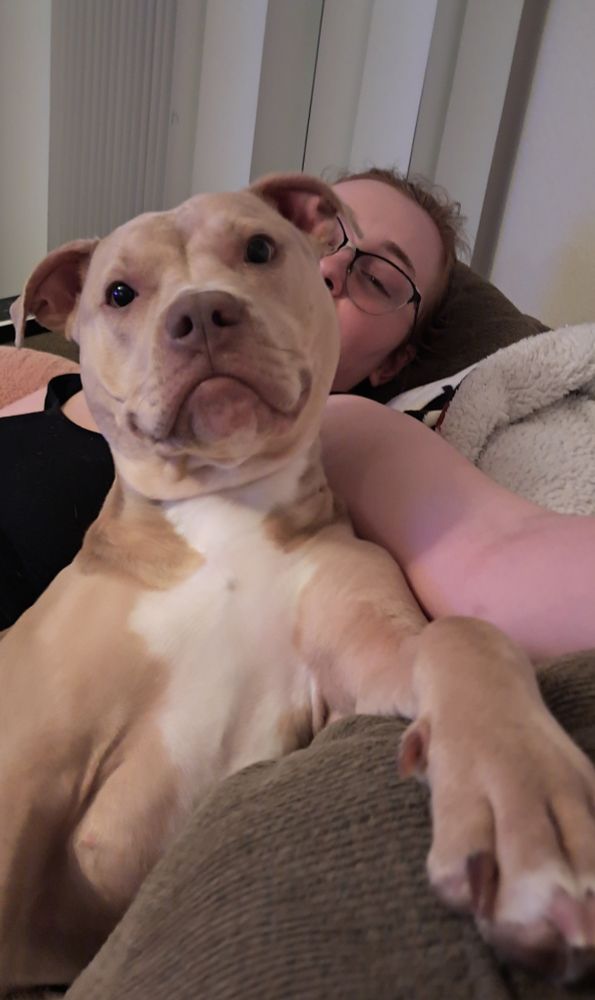 Poppy smiling and sitting in front of me