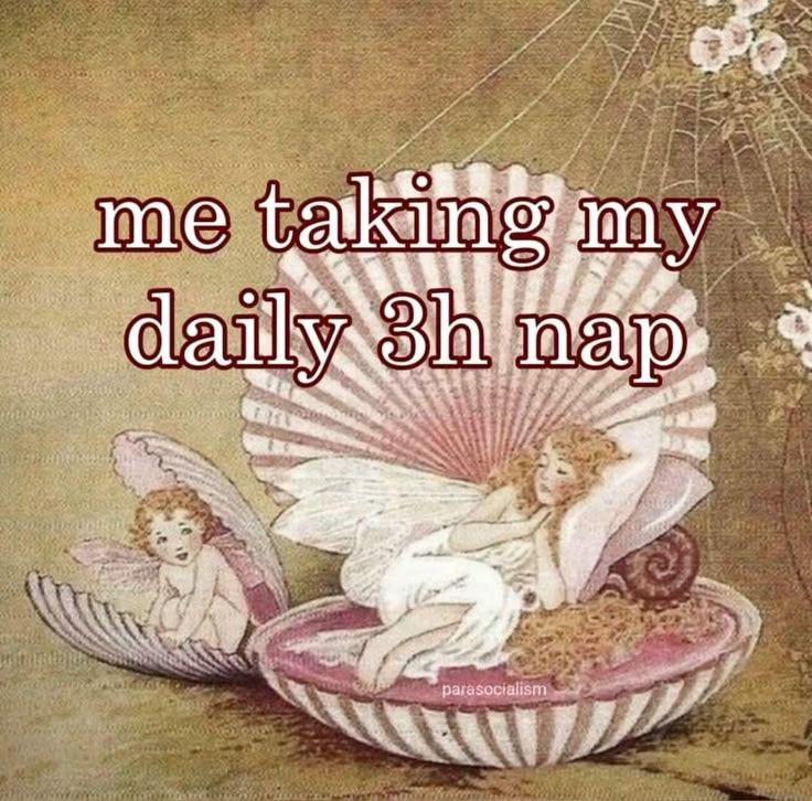 A fairy in a seashell bed with text overtop that reads "me taking my daily 3h nap"