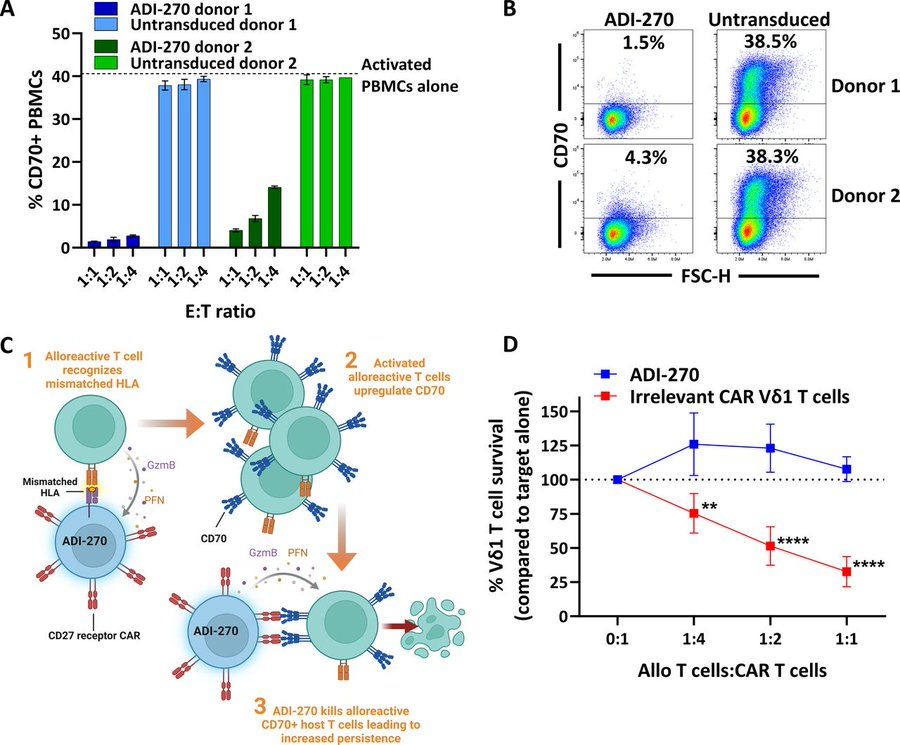 New #JITC article: ADI-270: an armored allogeneic gamma delta T cell therapy designed to target CD70-expressing solid and hematologic malignancies https://t.co/Vn1SdSSoiC 🧪