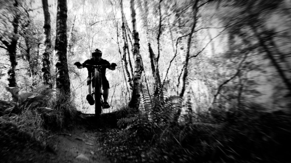 Black and white image of a mountain biker riding off a small drop in some woodland. The rider is facing directly towards the camera, making a strong silhouette against the lighter sky showing through the trees.