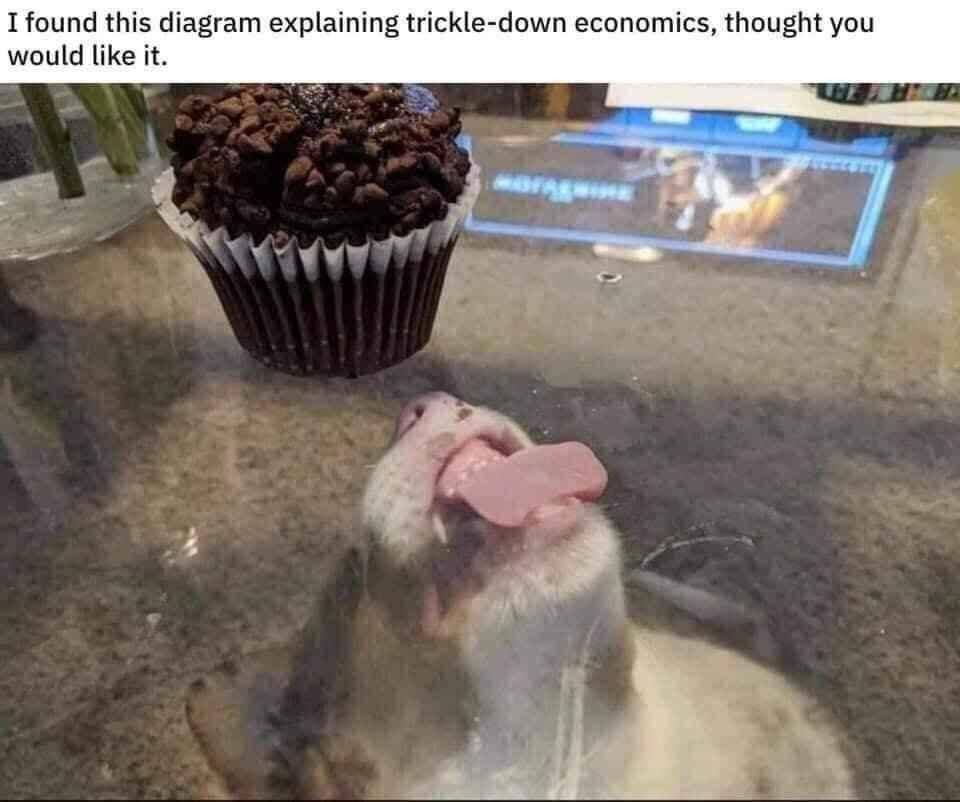 Photo of a muffin sitting on a glass table. Below the table a dog can be seen licking the glass trying to get to the muffin. The image is captioned “I found this diagram explaining trickle down economics. I thought you would like it.”
