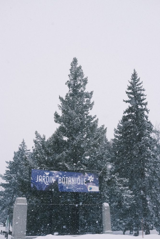 Snowy weather at the entrance of the Jardin botanique de Montréal with snow covered trees