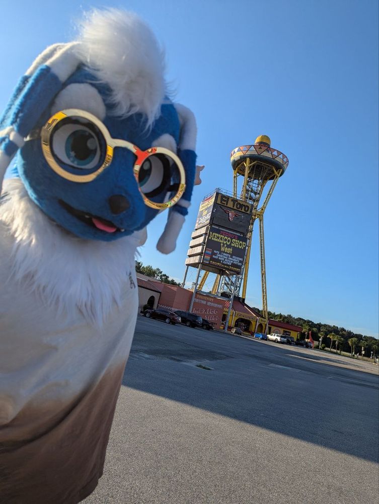me in my Meowstic fursuit + glasses, pointing at a tower with a giant sombrero at the top 