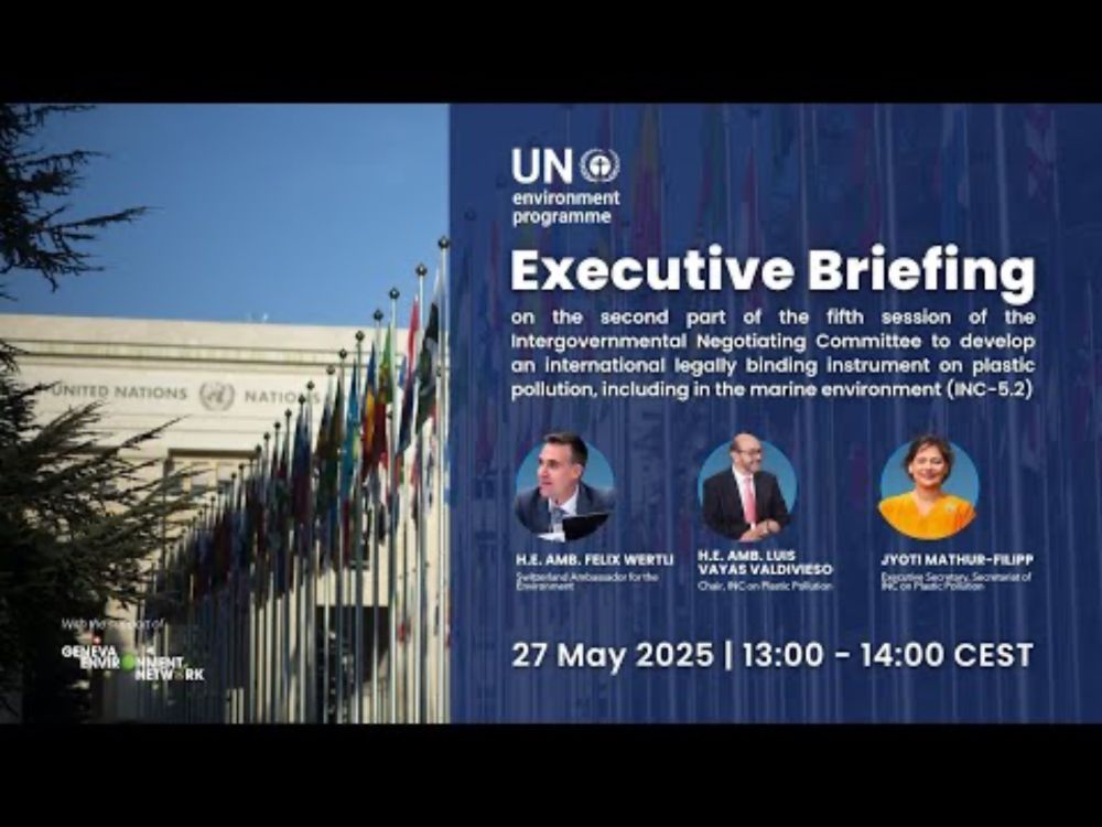 Executive Briefing on Plastic Pollution INC-5.2
