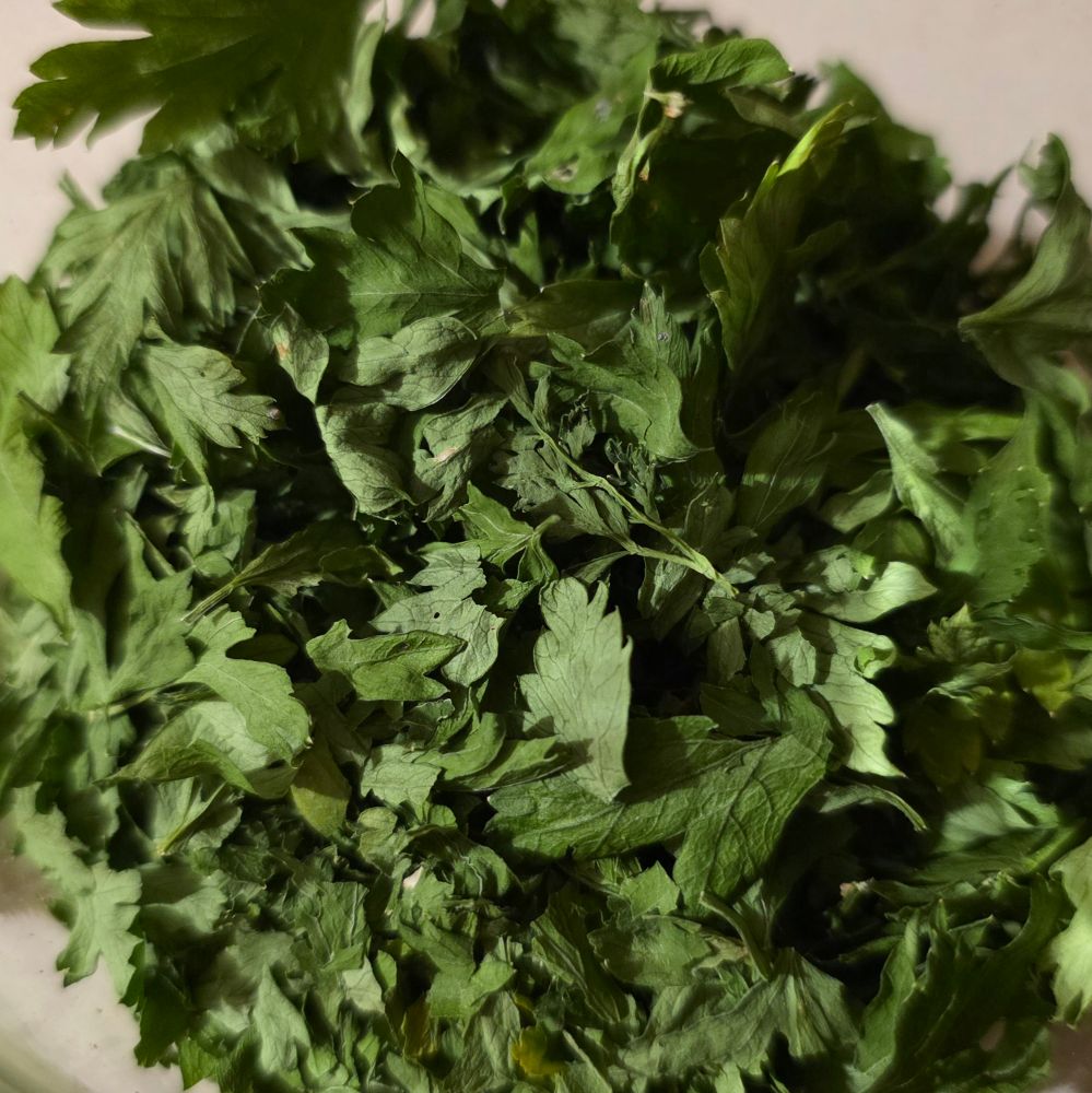 Square cropped close up photo of a pile of dried parsley, taken from above. 