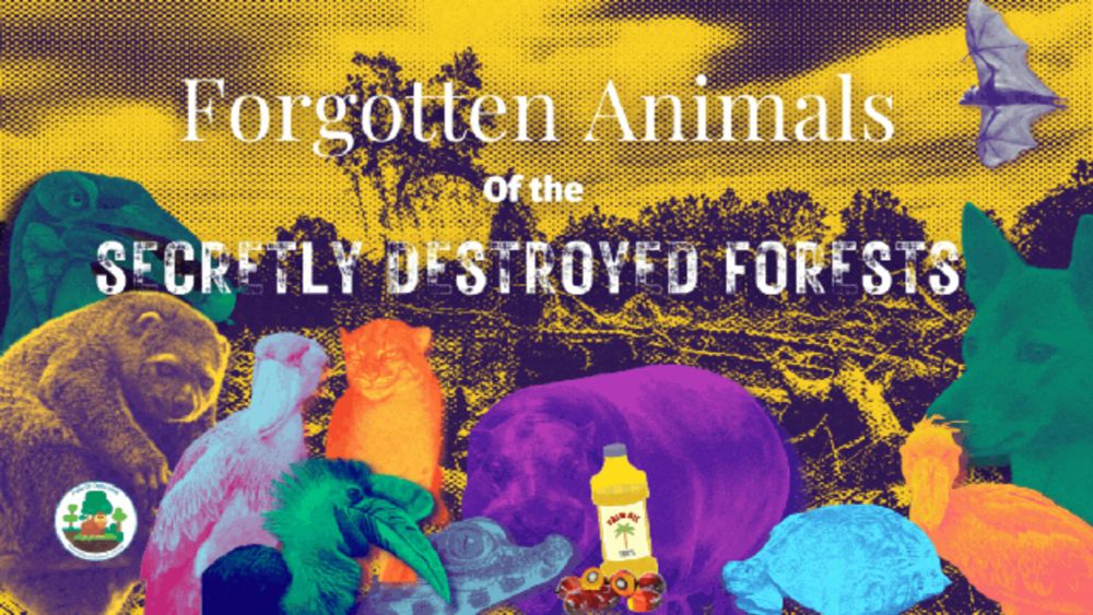 These are the forgotten animals of the secretly destroyed forests