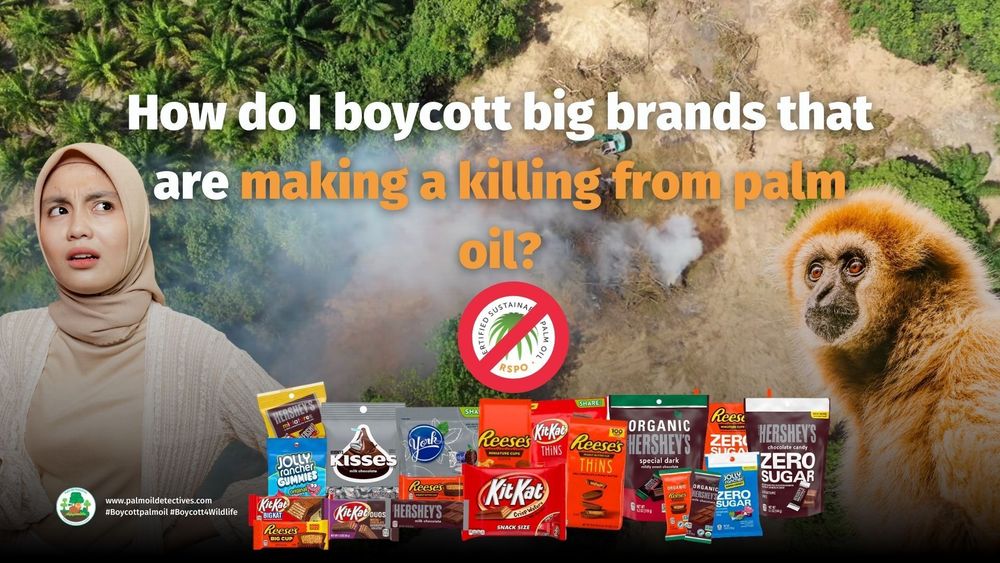 Did you know @Unilever is only "making a better world" for their investors NOT the planet? Their use of "sustainable" #palmoil destroys #rainforests causing #extinction. Fight back and #BoycottPalmOil 🌴🪔🔥☠️ #Boycott4Wildlife @palmoildetect.bsky.social https://palmoildetectives.com/2021/02/09/unilever/