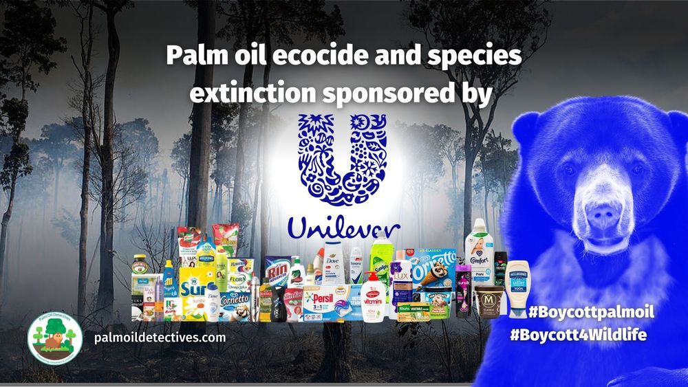 Did you know @Unilever is only "making a better world" for their investors NOT the planet? Their use of "sustainable" #palmoil destroys #rainforests causing #extinction. Fight back and #BoycottPalmOil 🌴🪔🔥☠️ #Boycott4Wildlife @palmoildetect.bsky.social https://palmoildetectives.com/2021/02/09/unilever/