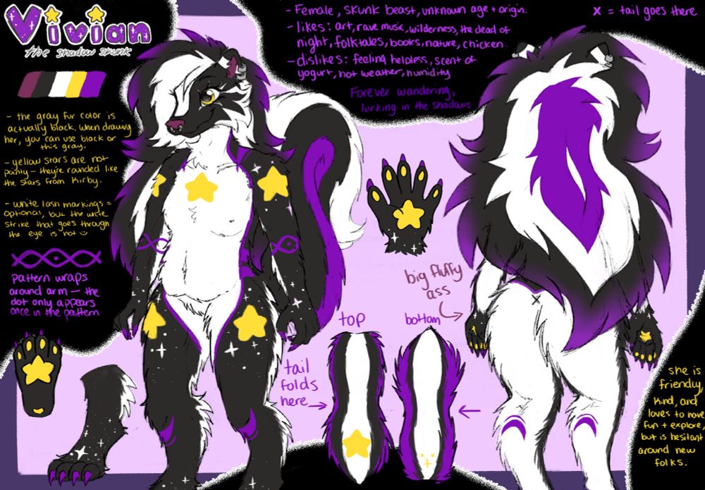 Skunk fursona reference sheet including a front and back view of the character. 