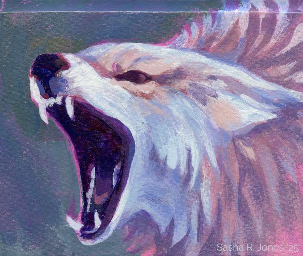 A painting of a silver and tawny furred coyote on a green and violet background, mouth open in a threat display.