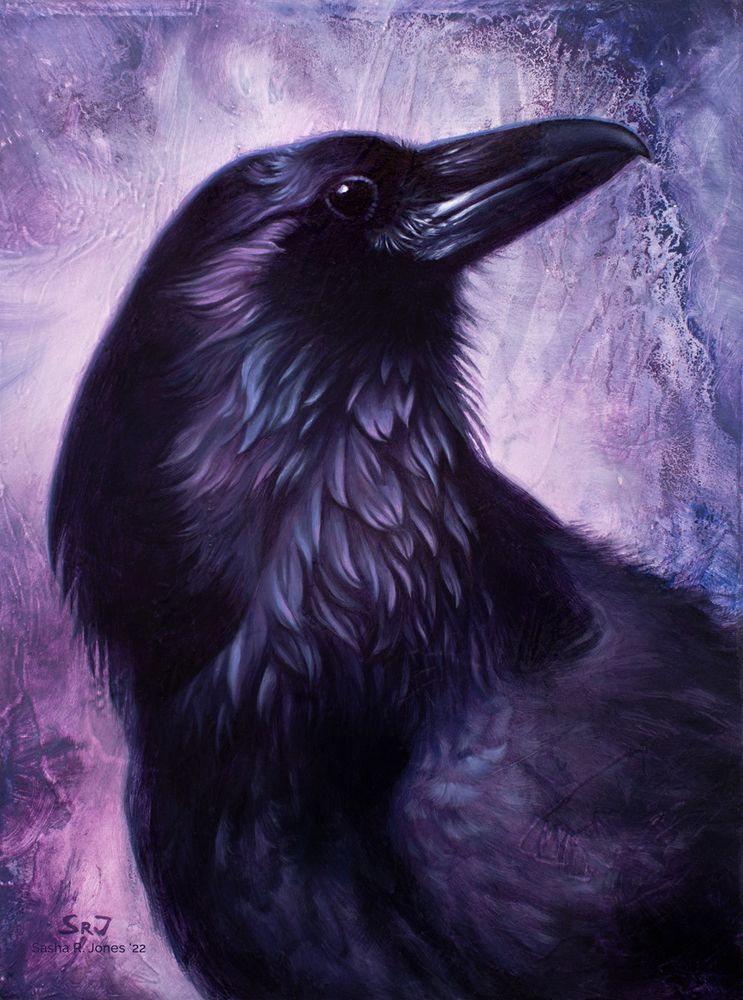 A portrait of a raven, looking up and to the right, with a calm but noble air. The highlights of their feathers range through sheens of blue and violet, and those same colors are present throughout the abstract background.