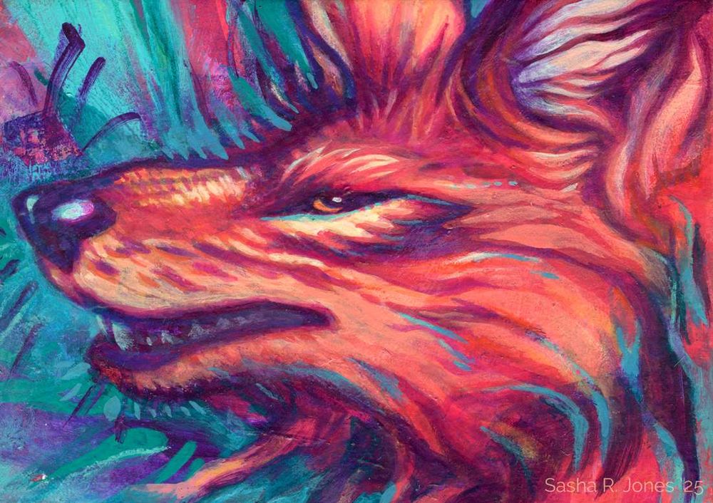A brightly hued portrait a coyote, painted with small flowing marks of various colors. The coyote is predominantly bright red-orange, yellow and magenta, with teal accents and a teal background.