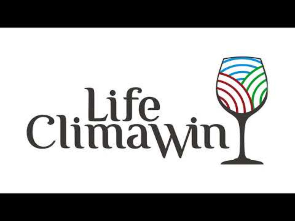 LIFECLIMAWIN