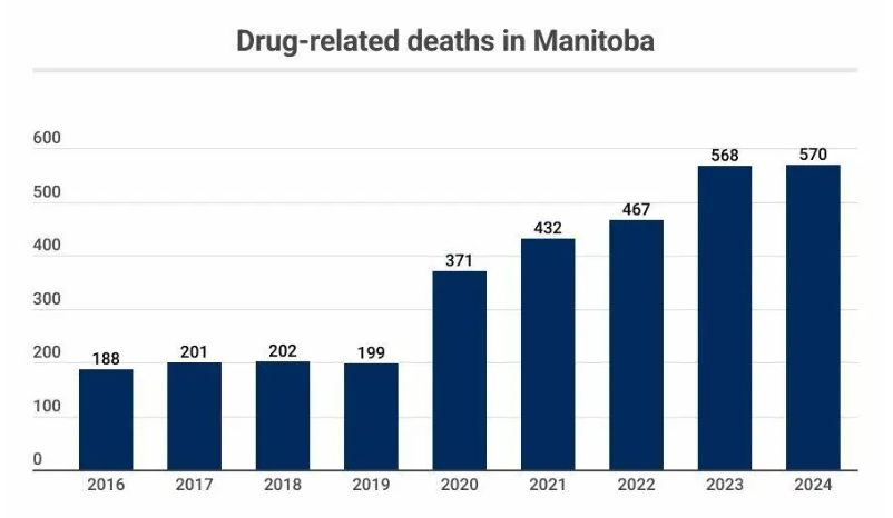 graph of drug related deaths in Manitoba.
2016: 188
2017: 201
2018: 202
2019: 199
2020: 371
2021: 432
2022: 467
2023: 568
2024: 570