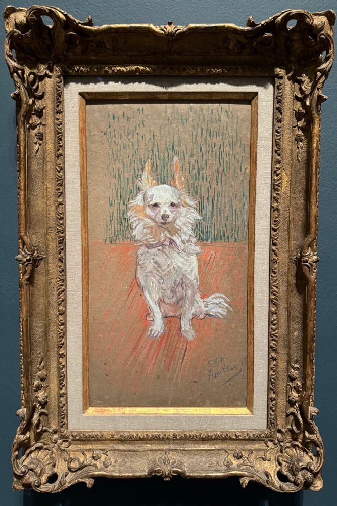 Photo of the painting on gold gilt frame on display at museum: long vertical composition, portrait of a small white dog sitting face forward against a loosely rendered green wall, orange floor background
