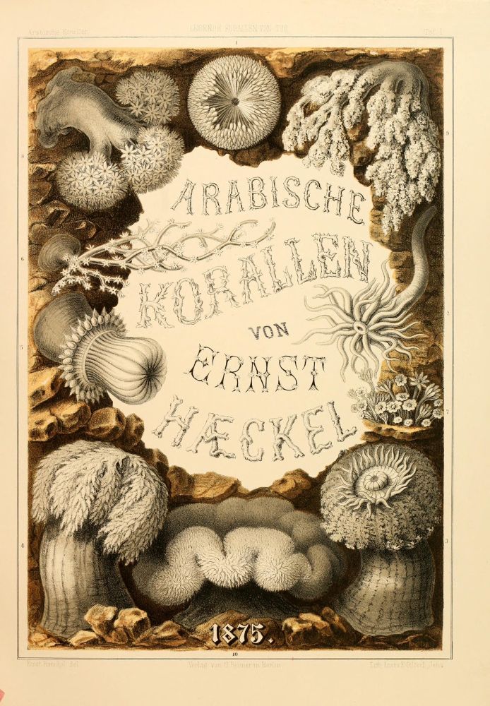 scan of plate I (color frontispiece)