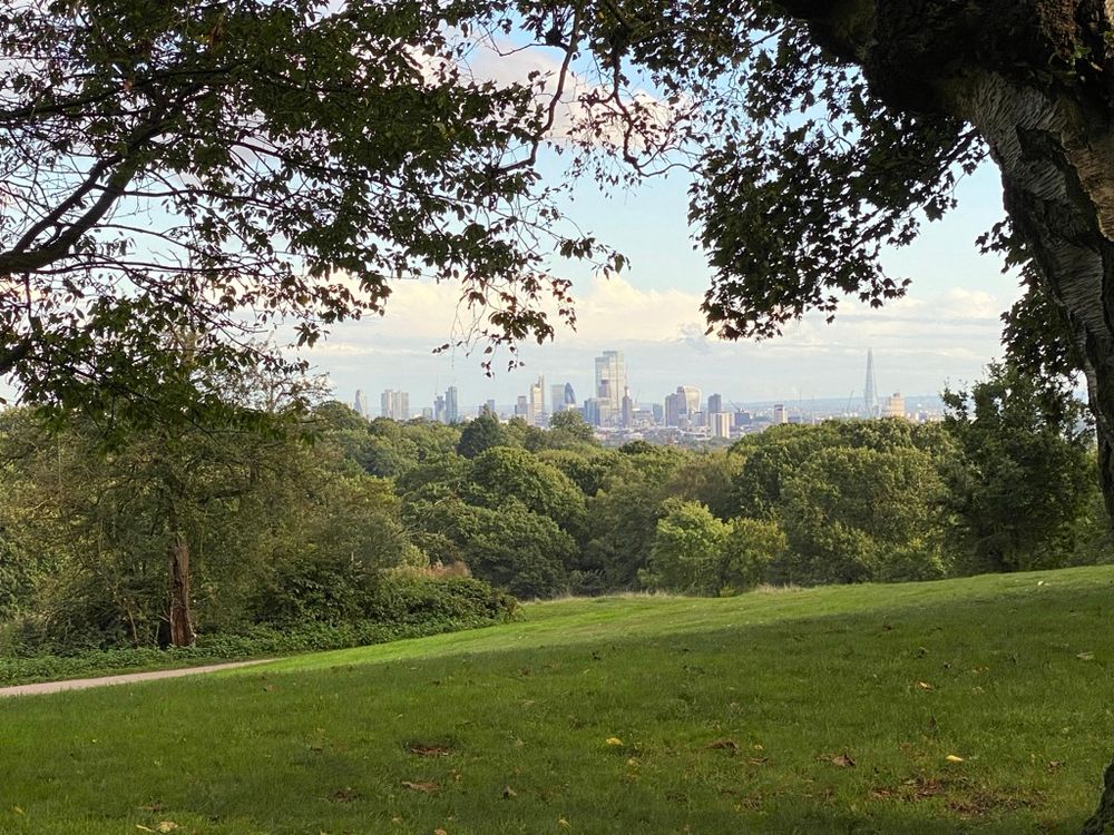 Trees and grass framing a view of the City of London in the distance.