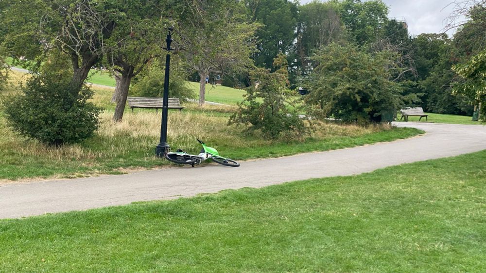 Lime bike lying beside a path in a park.
