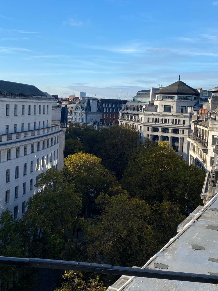 Aldwych, London from above, with a total tree canopy between the buildings.