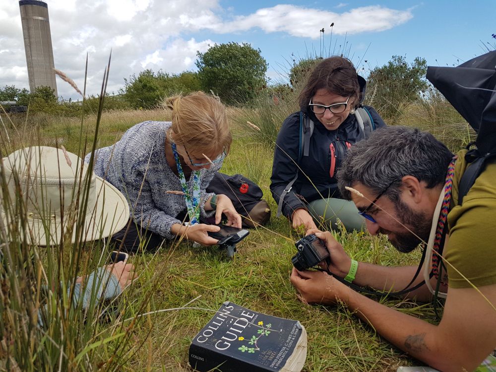 Botanists surveying an urban/ post-industrial site in South Wales