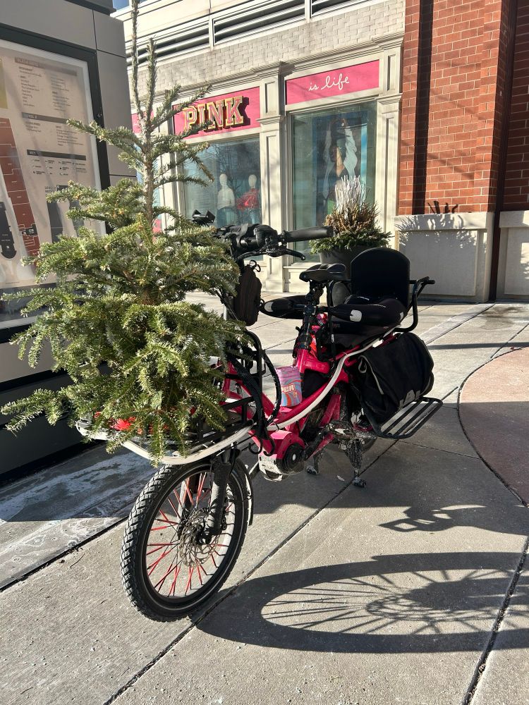 Tern GSD cargo bike with an adorable 4ft Christmas tree on the front rack