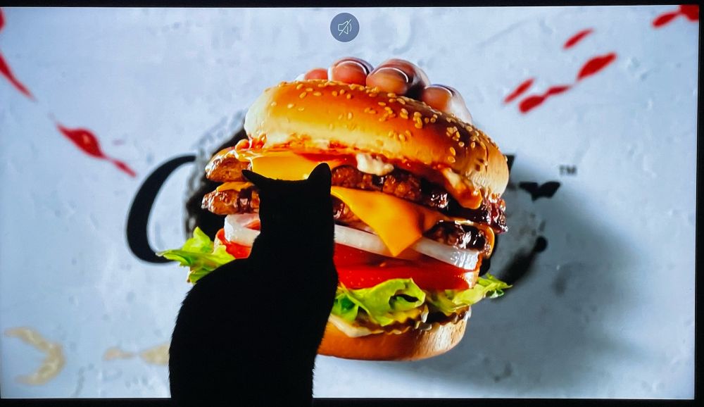 A picture of a silhouette of a black cat in front of a television screen showing a commercial with a delicious hamburger. 