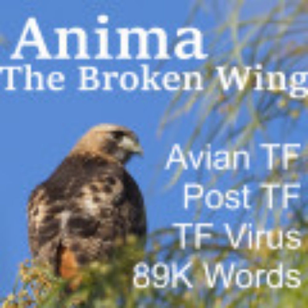 Anima: The Broken Wing by EricMalves