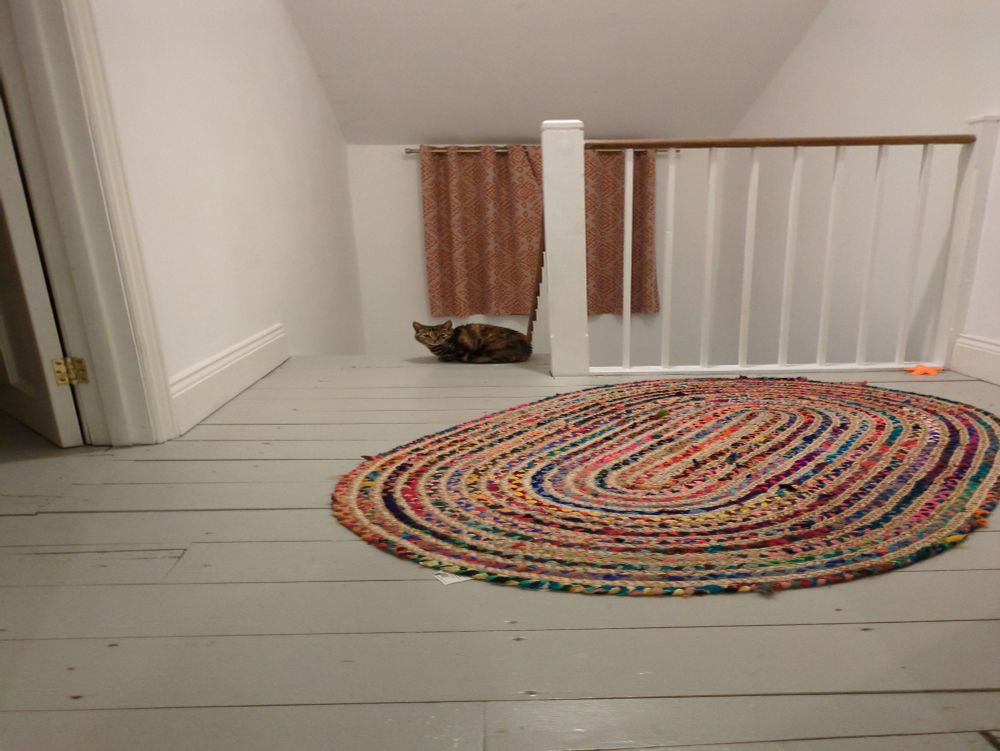 A cat at the top of our stairs
