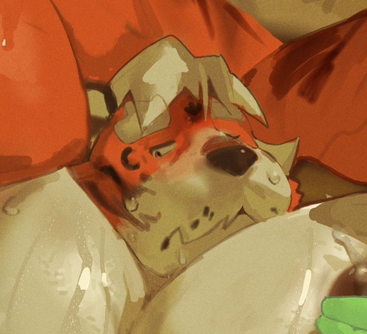 Same image but zoomed in