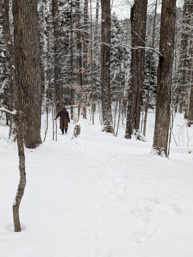 My wife and our dog Sam headed down to the marsh.