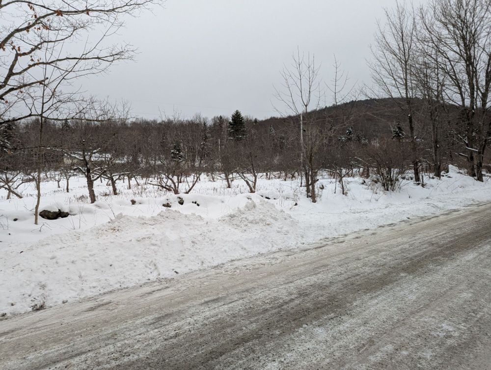 An apple orchard could be another location but I prefer a cemetery.