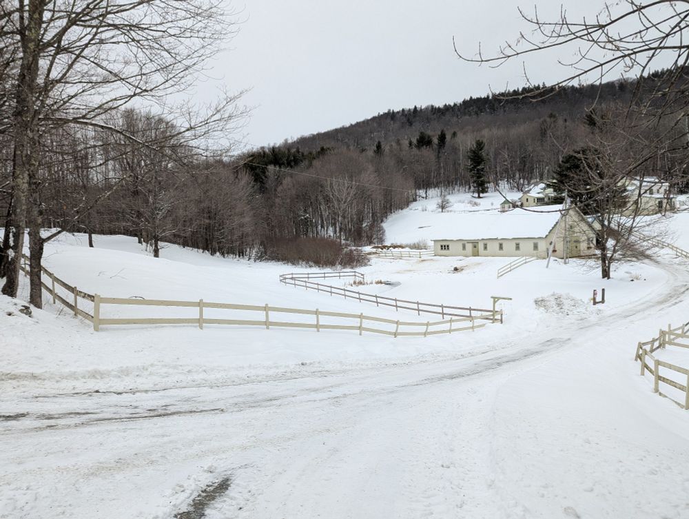 Our neighbor's horse farm is a cow farm. Cows play a major plot role in my first two stories.