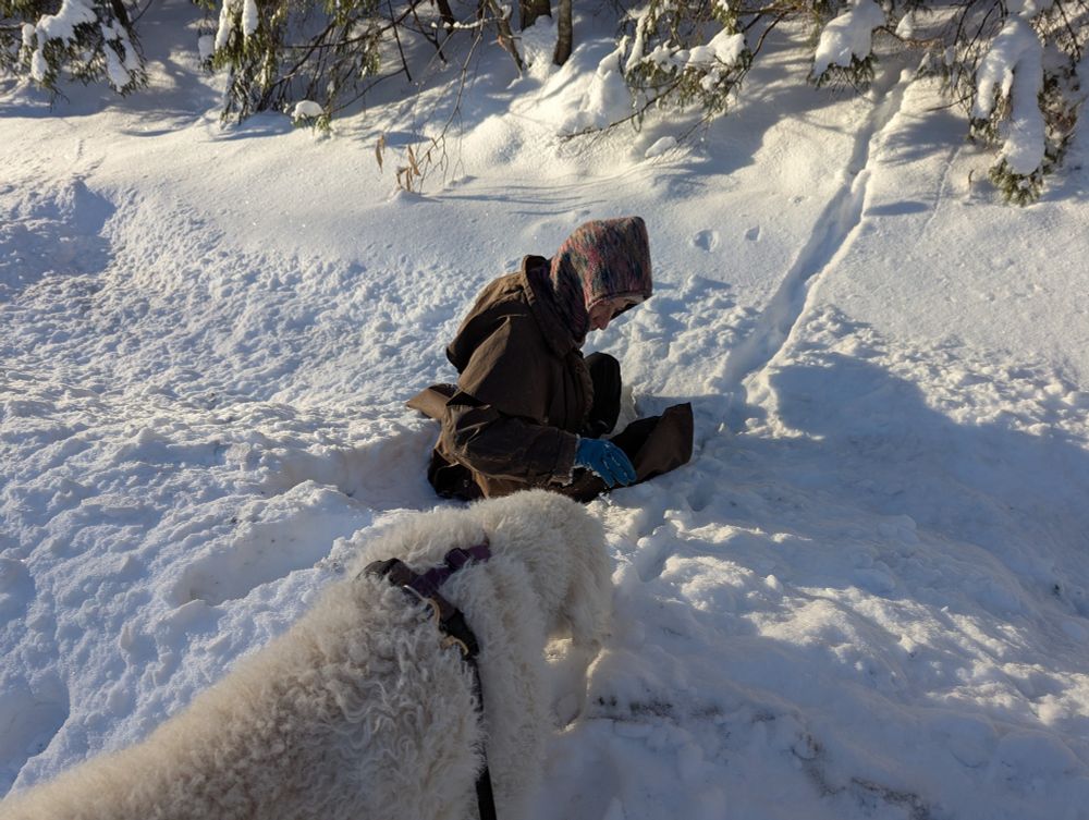 My wife was trying to confirm fox footprints when she gracefully decided to sit rather than fall into the snowbank.