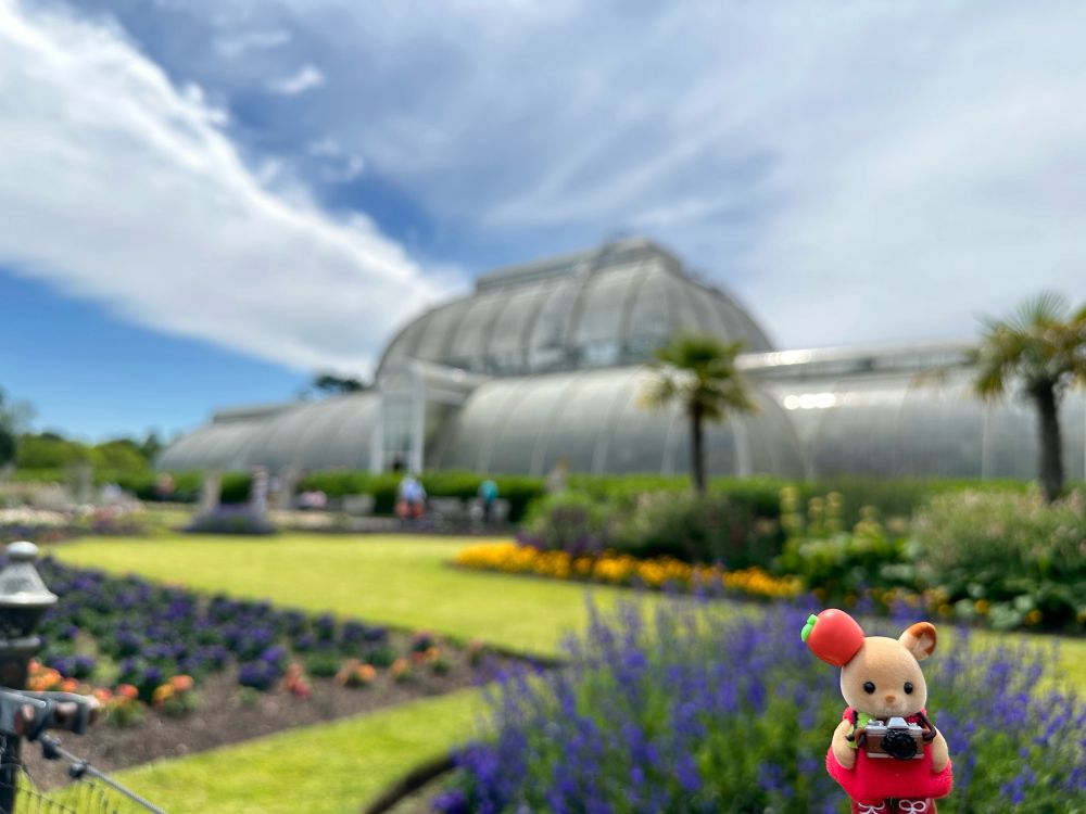 キューガーデンというロンドンにある植物園です。
現存する世界最古の温室パームハウスの前に、シルバニアファミリー シカの赤ちゃんがいます。