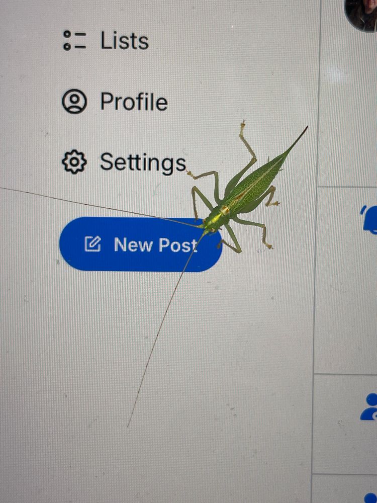 A photo of a grasshopper on a screen over top of the bluesky "New Post" button