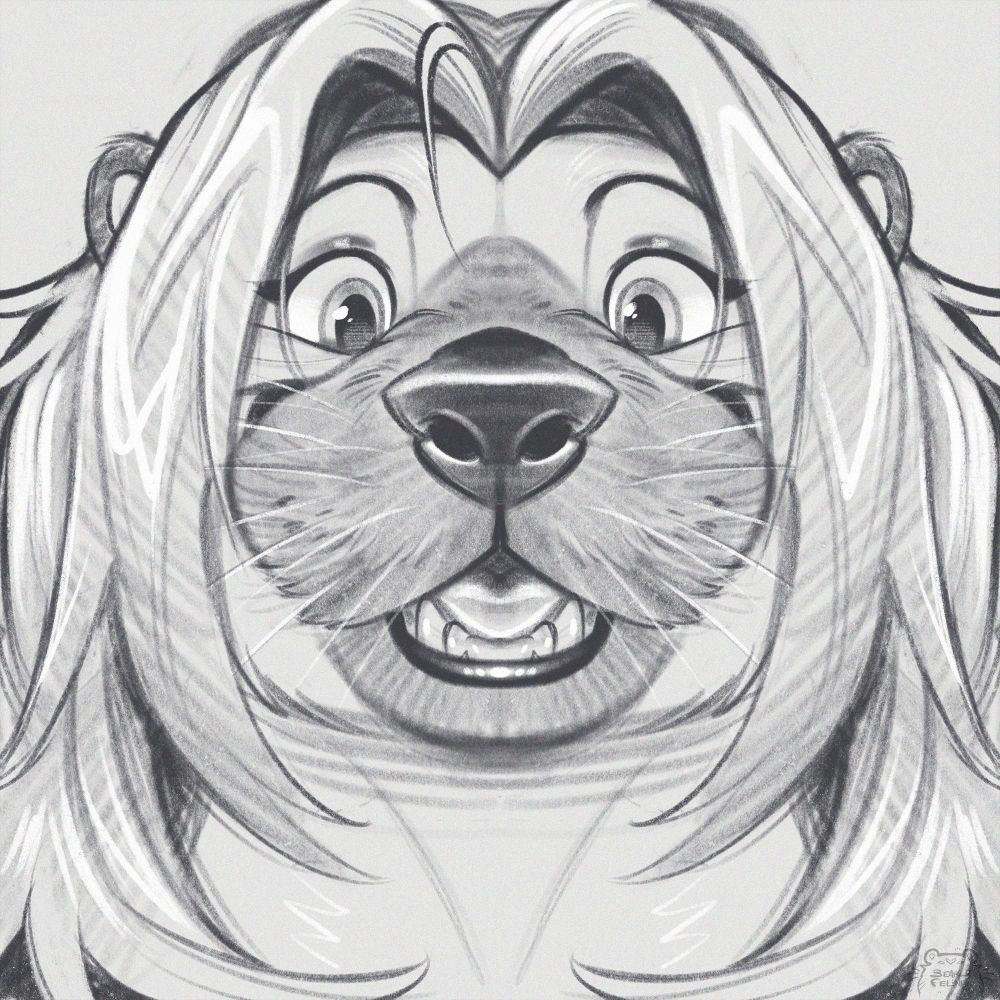 A black and white symmetrical headshot sketch of a female sea otter