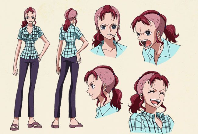 character sheet from one piece about "belle mère", a woman with same hair as me