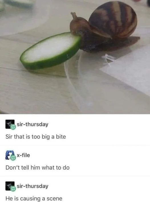 a lil snail eating a piece of cucumber, people are saying "sir, that is too big a bite" - "don't tell him what to do" - "he is causing a scene"