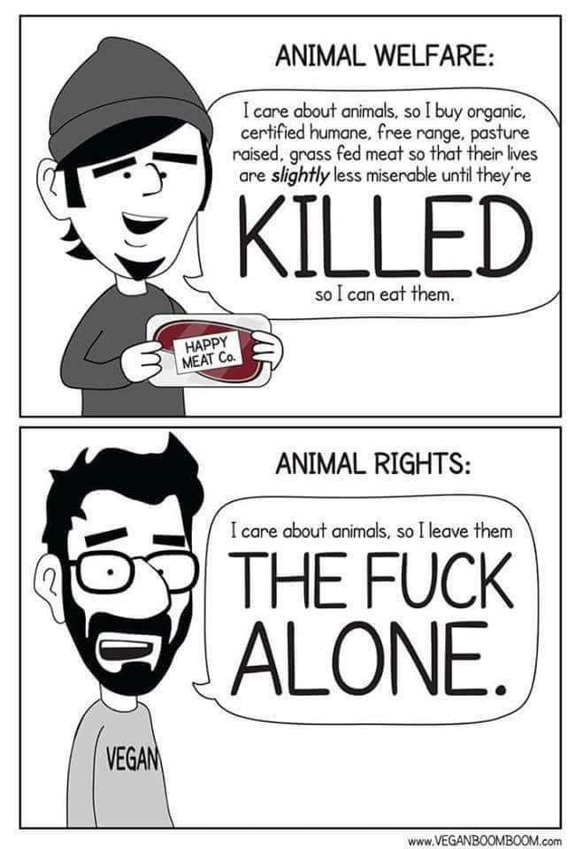 A two-panel cartoon comparing animal welfare and animal rights. In the first panel, labeled "Animal Welfare," a person holds a package labeled "Happy Meat Co." and says, "I care about animals, so I buy organic, certified humane, free range, pasture raised, grass fed meat so that their lives are slightly less miserable until they're KILLED so I can eat them." In the second panel, labeled "Animal Rights," a person wearing a "VEGAN" shirt says, "I care about animals, so I leave them THE FUCK ALONE."