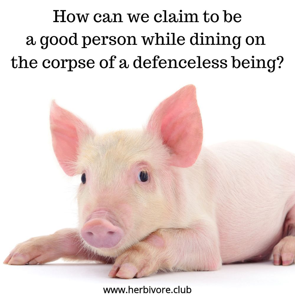 The image features a close-up of a young pig lying down, looking directly at the camera with a calm and gentle expression. Above the pig, in black text, it reads: "How can we claim to be a good person while dining on the corpse of a defenseless being?"  

At the bottom of the image, the website "www.herbivore.club" is displayed in small black text. The image is designed to evoke empathy and prompt reflection on the ethics of eating animals.