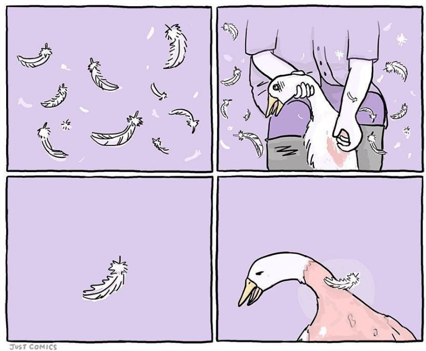 The image is a four-panel comic strip with a purple background. In the first panel, there are feathers falling. In the second panel, a person's hand is shown ripping feathers from a white duck or goose, which seems distressed. In the third panel, only one feather is shown falling. In the fourth and last panel, the bird, now with many feathers missing, appears pained and is looking at the last feather falling. The logo "Just Comics" is in the corner of the last panel.