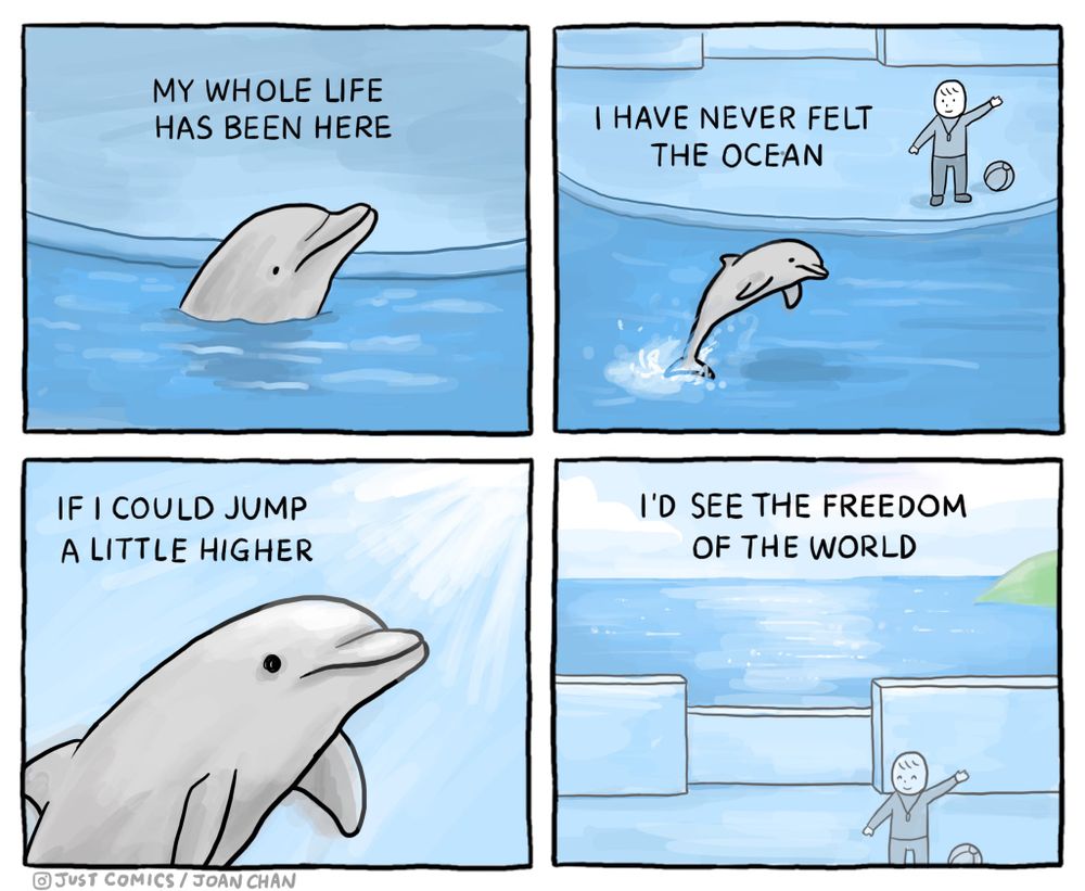**Alt text:** A four-panel cartoon illustrates a dolphin's longing for freedom from captivity. In the first panel, the dolphin looks up with the caption, "My whole life has been here," referring to the confined space of an aquarium. The second panel shows the dolphin jumping out of the water, with the words, "I have never felt the ocean," as a trainer stands nearby. In the third panel, the dolphin thinks, "If I could jump a little higher," imagining an escape. The final panel shows the dolphin gazing towards the distant ocean, captioned, "I’d see the freedom of the world." This comic highlights the captivity of marine animals and their desire for freedom.