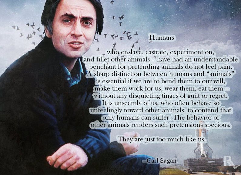 An illustrated image of Carl Sagan with a quote overlayed about the ethical treatment of animals. The quote reads: "Humans who enslave, castrate, experiment on, and fillet other animals – have had an understandable penchant for pretending animals do not feel pain. A sharp distinction between humans and 'animals' is essential if we are to bend them to our will, make them work for us, wear them, eat them – without any disquieting tinges of guilt or regret. It is unseemly of us, who often behave so unfeelingly toward other animals, to contend that only humans can suffer. The behavior of other animals renders such pretensions specious. They are just too much like us." The background includes birds in flight and a subtle celestial sky, emphasising Sagan's connection to the cosmos and his contemplative stance on empathy and the moral implications of humanity's treatment of animals.