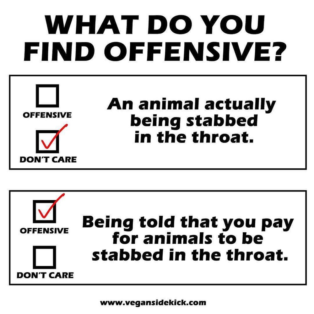 The image is a black and white graphic with two statements designed like a checklist. The top part reads, "WHAT DO YOU FIND OFFENSIVE?" Underneath, there are two boxes labeled "OFFENSIVE" and "DON'T CARE". The first statement is "An animal actually being stabbed in the throat," with a checkmark in the "DON'T CARE" box. The second statement is "Being told that you pay for animals to be stabbed in the throat," with a checkmark in the "OFFENSIVE" box. This graphic is meant to provoke thought about the disconnect between the perception and reality of animal consumption. The website "www.vegansidekick.com" is at the bottom, attributing the source.